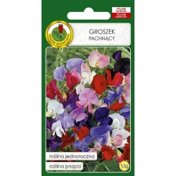 Семена цветов PNOS Groszek Pachnancy, 1.5 г