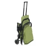 Детская коляска Chicco Trolley Me Lime