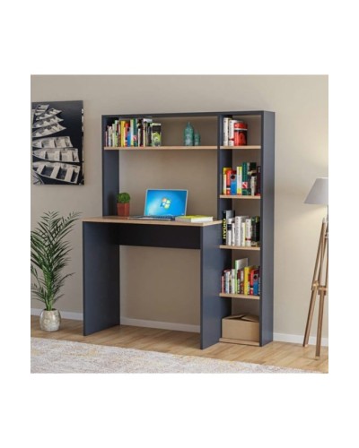 Kompüter masası Ev Plus 12116077, LDSP, 120x50x150 sm
