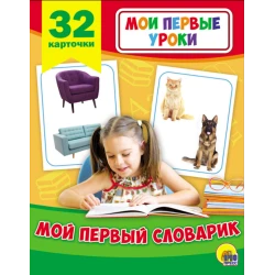 Развивающие карточки. Мои первые уроки. Мой первый словарик