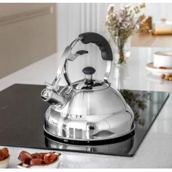 Чайник 511, нержавеющая сталь, 5 л