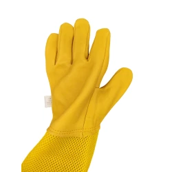 Dəri örtüklü arıçı əlcəyi Parrotias, ölçü XL, sarı/ağ