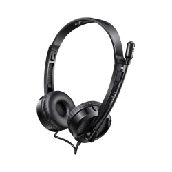Наушники-гарнитура Rapoo H120 Black