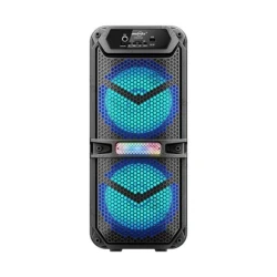 Dinamik Sütun Greatnice GTS-2148 30W mic