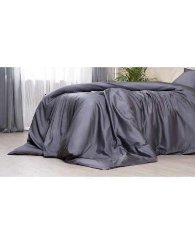 Yataq dəsti Askona Home Collection 1123, yorğan üzləri 200х220 sm, yastıq üzləri 50х70 sm, avro, satin, graphite, göy