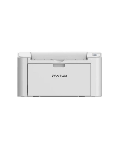 Printer Pantum P2200