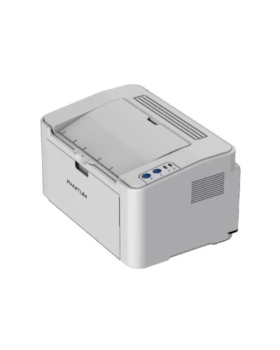 Printer Pantum P2200
