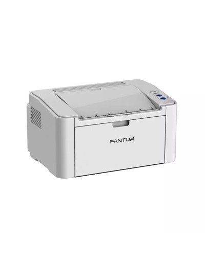 Printer Pantum P2200