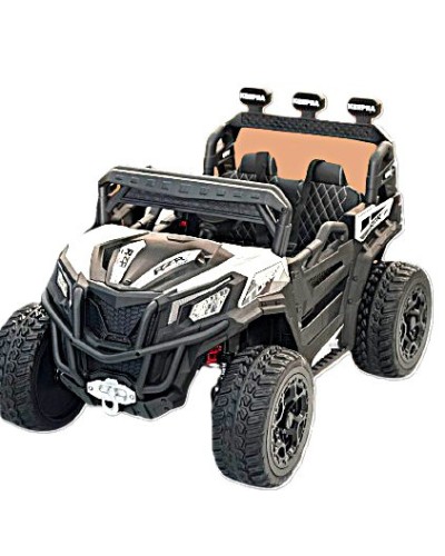 Uşaq elektrik avtomobili RZR 301, ağ