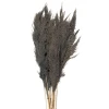 Сухоцветы Clayre & Eef, 100 см, серый