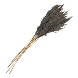 Сухоцветы Clayre & Eef, 100 см, серый