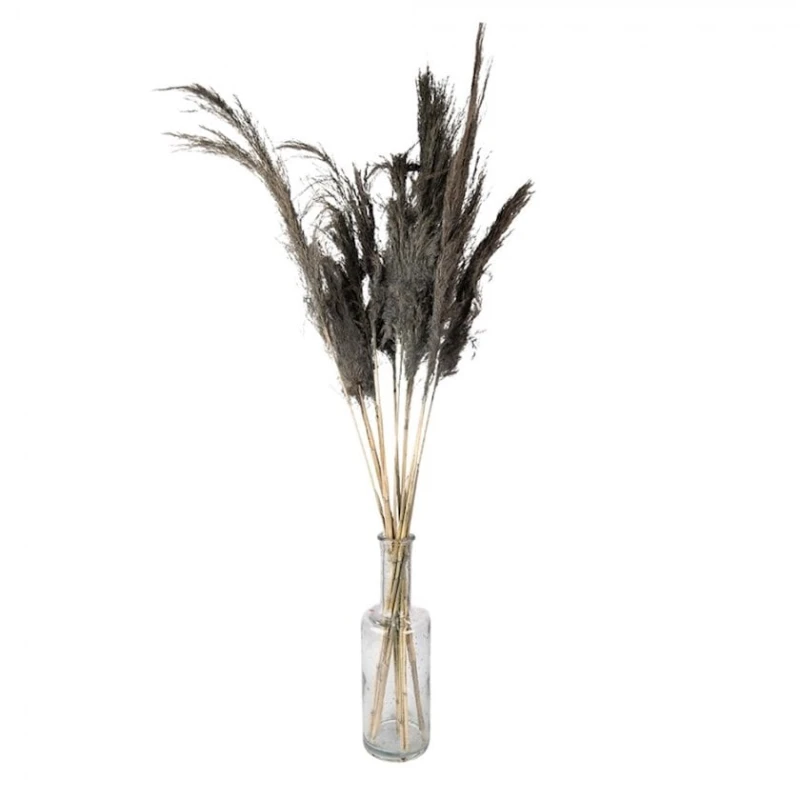 Сухоцветы Clayre & Eef, 100 см, серый