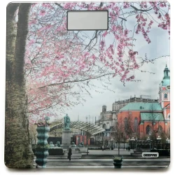 Напольные весы Geepas GBS4213