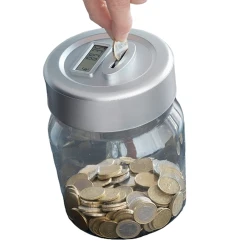 Elektron rəqəmsal daxıl InnovaGoods V0100535, 13х18 sm, şəffaf/gümüşü