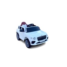 Uşaq elektrik avtomobili Bentley ZFL5188, ağ