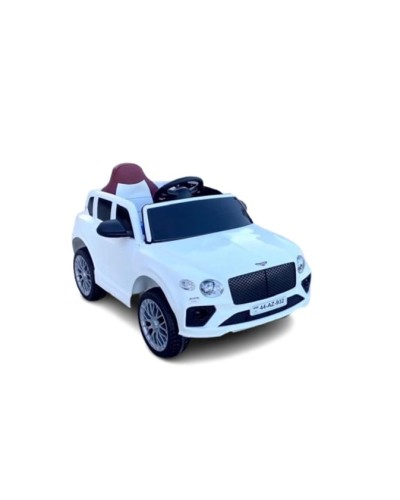 Uşaq elektrik avtomobili Bentley ZFL5188, ağ