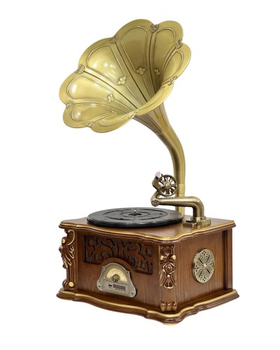 Vinil plastin pleyeri Qrammofon