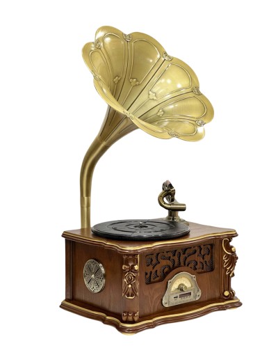Vinil plastin pleyeri Qrammofon
