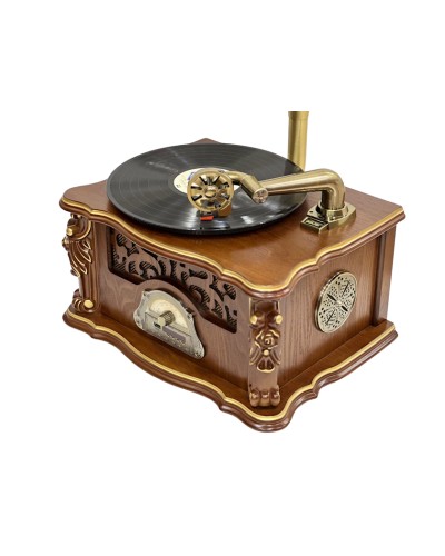 Vinil plastin pleyeri Qrammofon