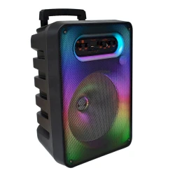 Portativ dinamik GTS GTS-1593