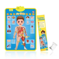 Обучающая игра Human Anatomy My Body ag03, 3+ лет