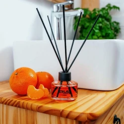 Ароматический диффузор Erla Sato New Day, цитрус, 50 мл