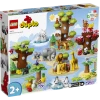 Конструктор LEGO Duplo Town Wild Animals of the World 10975, 2+ лет, 143 элементов
