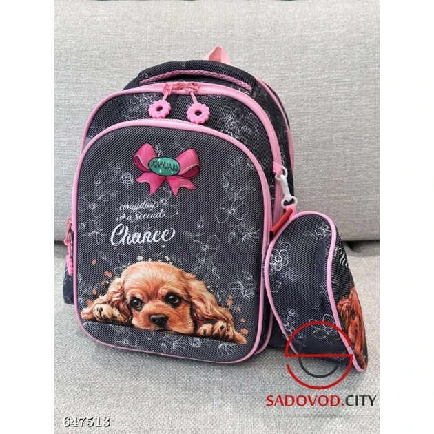 Школьная сумка с пеналом Школьная сумка с пеналом