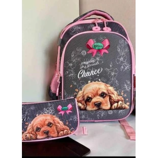 Школьная сумка с пеналом Школьная сумка с пеналом