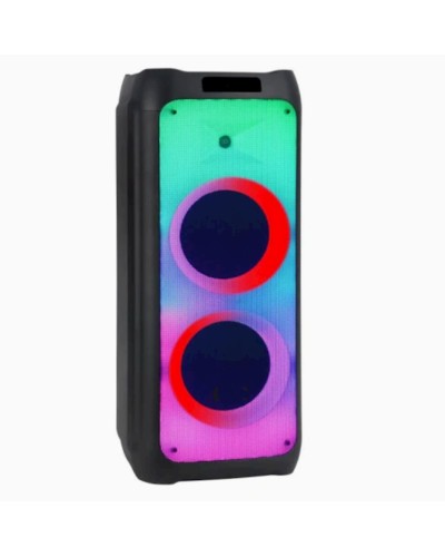 Portativ dinamik NDR-1610 Black
