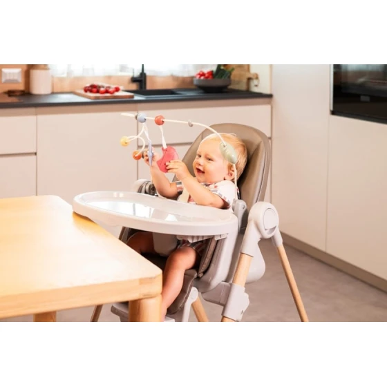 Игрушка для стульчика для кормления Chicco Polly Armonia, разноцветная, 11х33х43 см Игрушка для стульчика для кормления Chicco Polly Armonia, разноцветная, 11х33х43 см