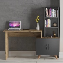 Kompüter masası Ev Plus 12116013, LDSP, 150x45x136 sm