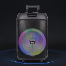 Portativ dinamik SING-E ZQS12148 40W 12