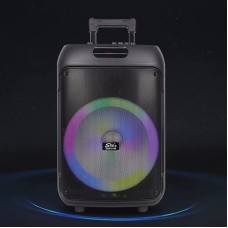 Portativ dinamik SING-E ZQS12148 40W 12