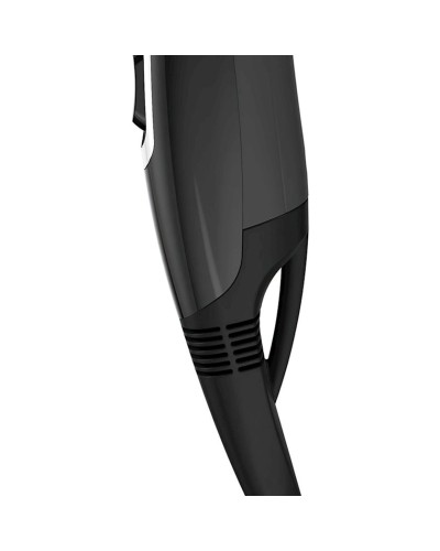 Fen Remington Pro-Air AC5999
