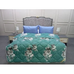 Одеяло TZE-384, 160x220 см, односпальное, зимнее, велюр, разноцветный Одеяло TZE-384, 160x220 см, односпальное, зимнее, велюр, разноцветный