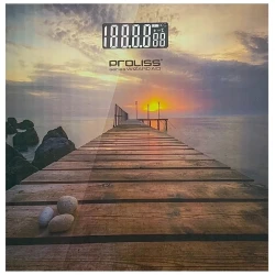 Напольные весы Proliss PRO-3173