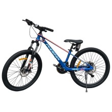 Velosiped Phoenix, göy