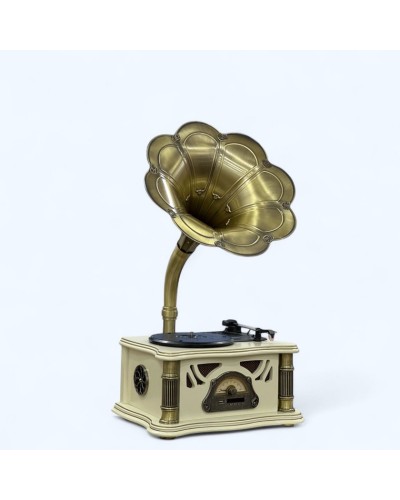 Vinil plastin pleyeri Qrammofon ağ/qızılı