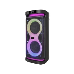 Акустическая система Hoffmann Party Box RB800