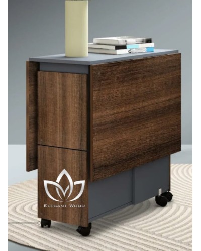 Masa Elegant Wood ZARR029