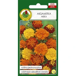 Семена цветов PNOS Aksamitka Niska, 1г