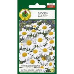 Семена цветов PNOS Zlocien Karlowy 0.3 г