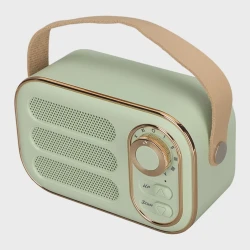 Portativ dinamik Subwoofer_200 Green