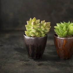 Жидкая глазурь Botz 95768 Copper Gold 800 мл