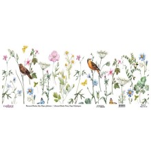 Dekupaj üçün düyü kağızı Cadence Universal Bordure 30x68, UBC-010-30