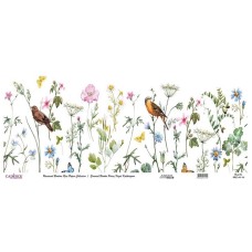 Dekupaj üçün düyü kağızı Cadence Universal Bordure 30x68, UBC-010-30