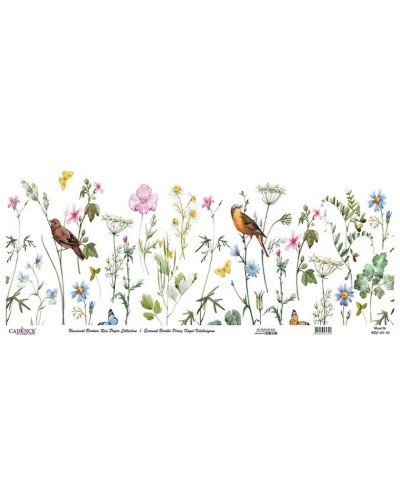 Dekupaj üçün düyü kağızı Cadence Universal Bordure 30x68, UBC-010-30