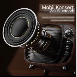 Portativ dinamik 6240_taradio11 Brown