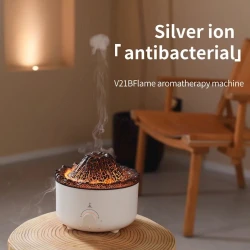 Hava nəmləndirici V21B